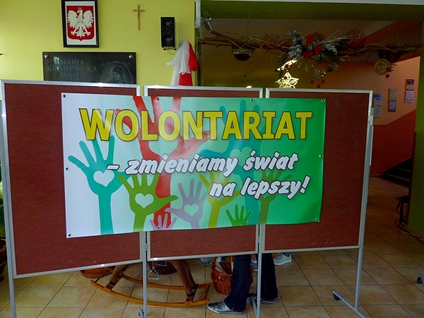 wolontariat