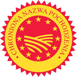 ChNP logo