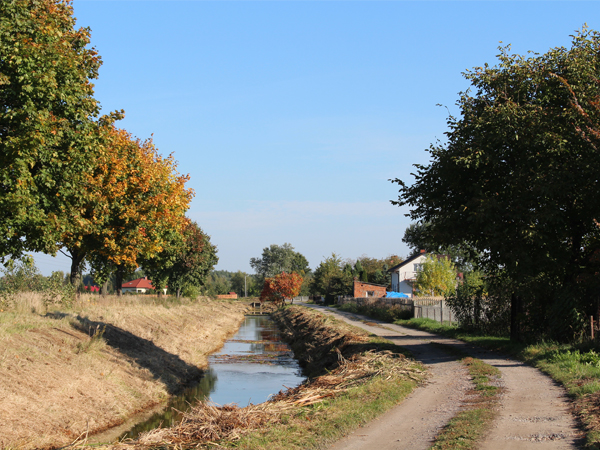 Na ulicy Strazackiej w Furmanach zostanie położona nowa nawierzchnia asfaltowa. Na zdjęciu droga polna obok kanał wodny i drzewa.